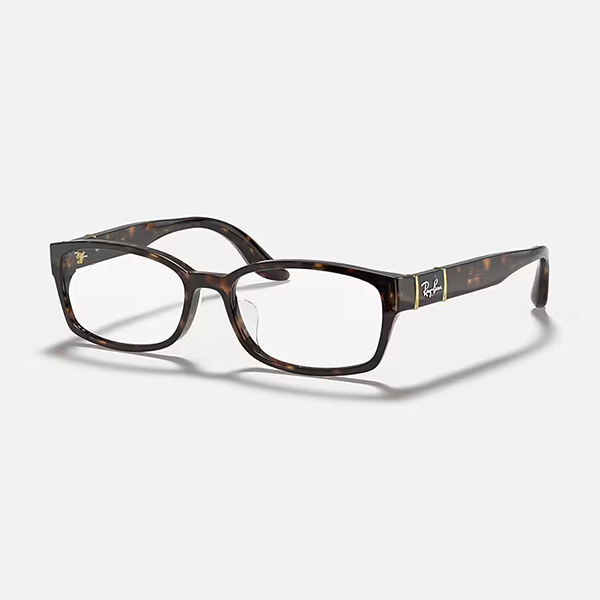 Ray-Ban RB 5198 ブラックメガネ Ray-Ban RX 5198 Eyeglasses | FREE Shipping - Go-Optic.com