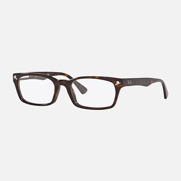 【Ray-Ban】 RB5017A 2012 ダークハバナ アジアンフィット メガネ 52サイズ