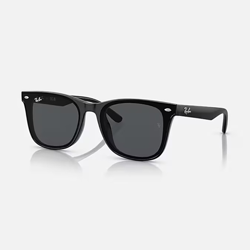 【Ray-Ban】 RB4391D 601/87 ポリッシュブラック/ダークグレー サングラス 65サイズ
