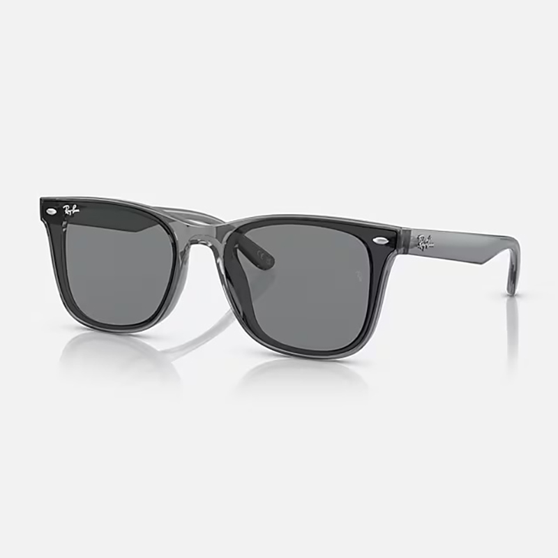 Ray-Ban サングラス | 【Ray-Ban】 RB4391D 601/93 ポリッシュブラック