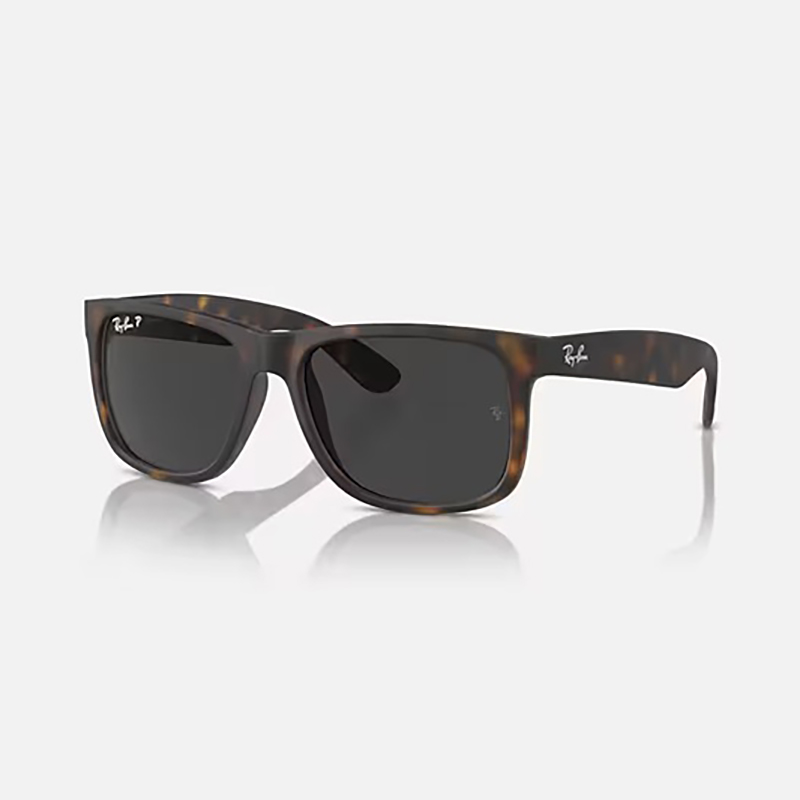 Ray-Ban サングラス 偏光レンズ | 【Ray-Ban】 JUSTIN CLASSIC