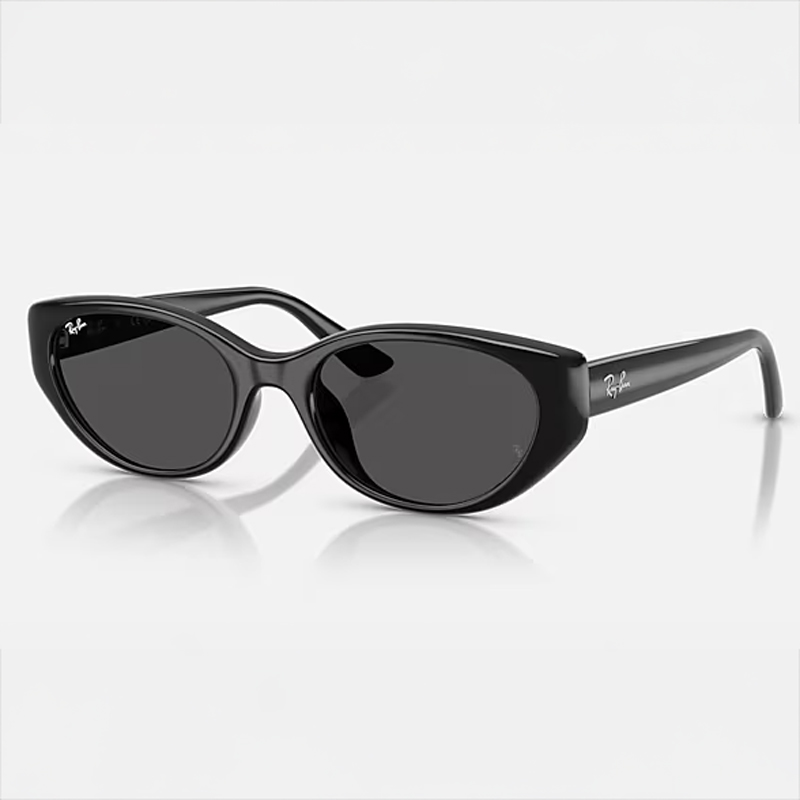 【Ray-Ban】 RB4457D-667787BIO-BASED ポリッシュ ブラック　レンズ ダークグレーサングラス 55 サイズ