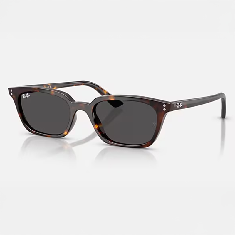 【Ray-Ban】 RB4456F-135987BIO-BASED　ポリッシュ ハバナ　レンズ ダークグレーサングラス 52サイズ