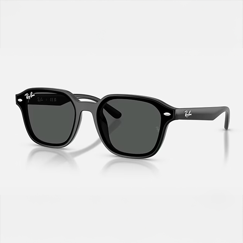 【Ray-Ban】 RB4458D-601/87ポリッシュ ブラック　ダークグレーサングラス 65 サイズ