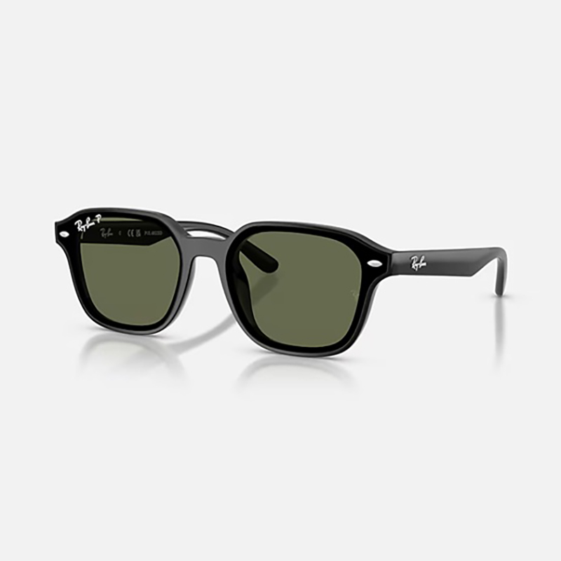 【Ray-Ban】 RB4458D 601/9A ポリッシュブラック/ダークグリーンポラライズド 偏光レンズ サングラス 65 サイズ