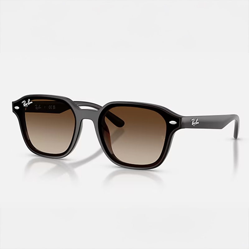 Ray-Ban サングラス | 【Ray-Ban】 RB4458D-601/87ポリッシュ