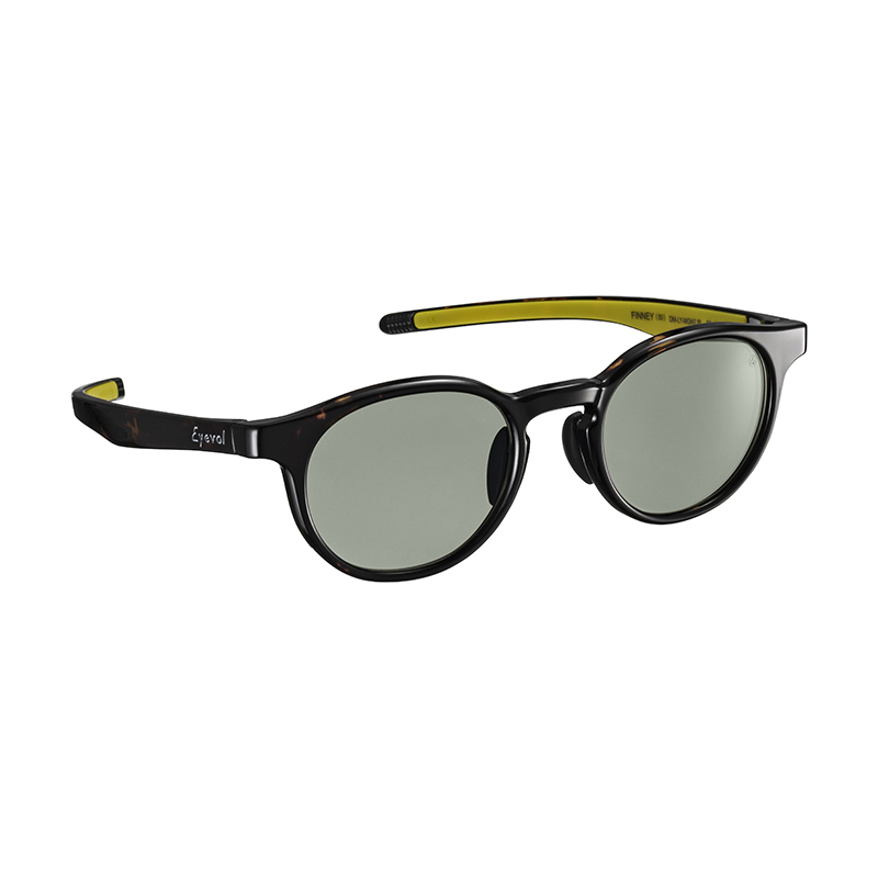 【Eyevol】 FINNEY（50） フィニー50 DM-LY-MGN2 PL 偏光レンズ サングラス 50サイズ