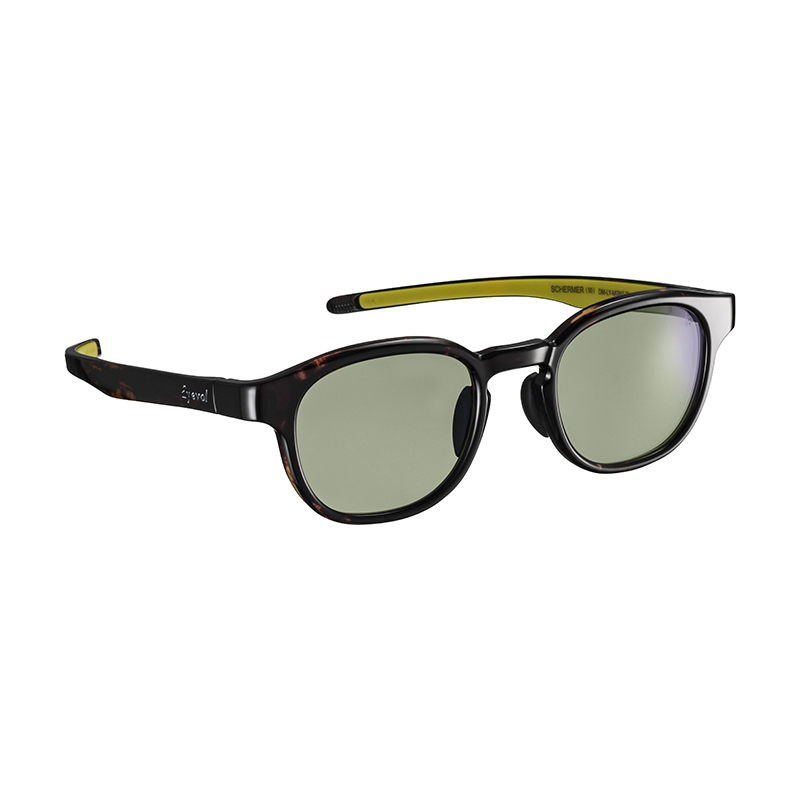 【Eyevol】 SCHERMER（50） シャーマー50 DM-LY-MGN PL 偏光レンズ サングラス 50サイズ