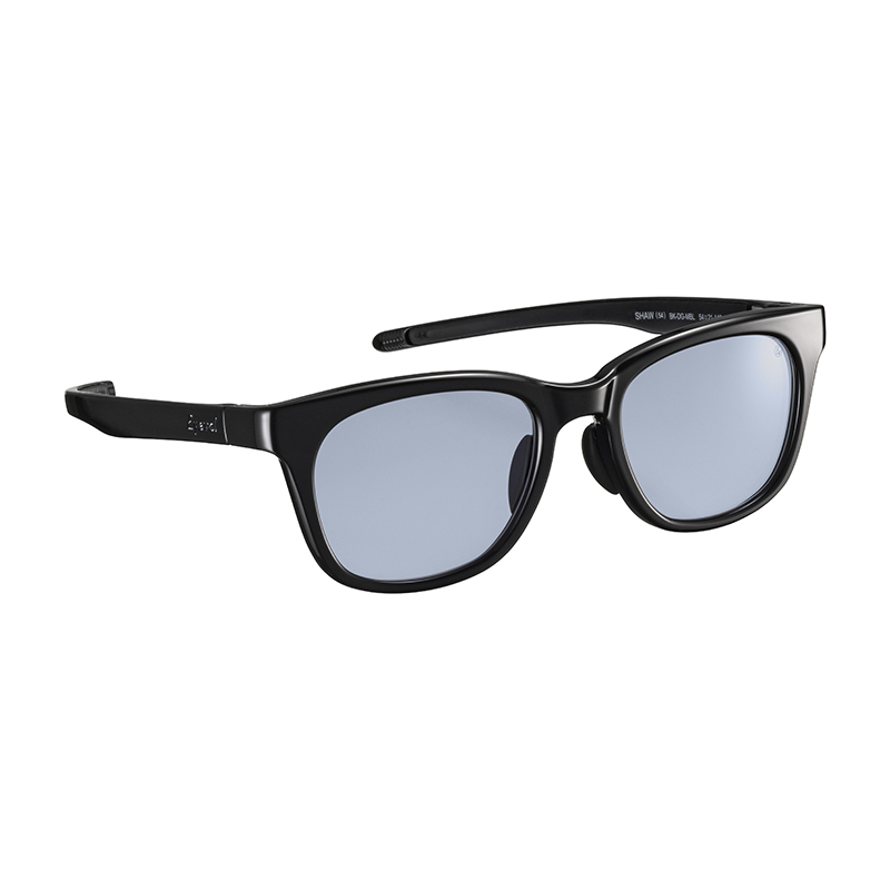 【Eyevol】 SHAW（54） ショー54 BK-DG-MBL サングラス 54サイズ