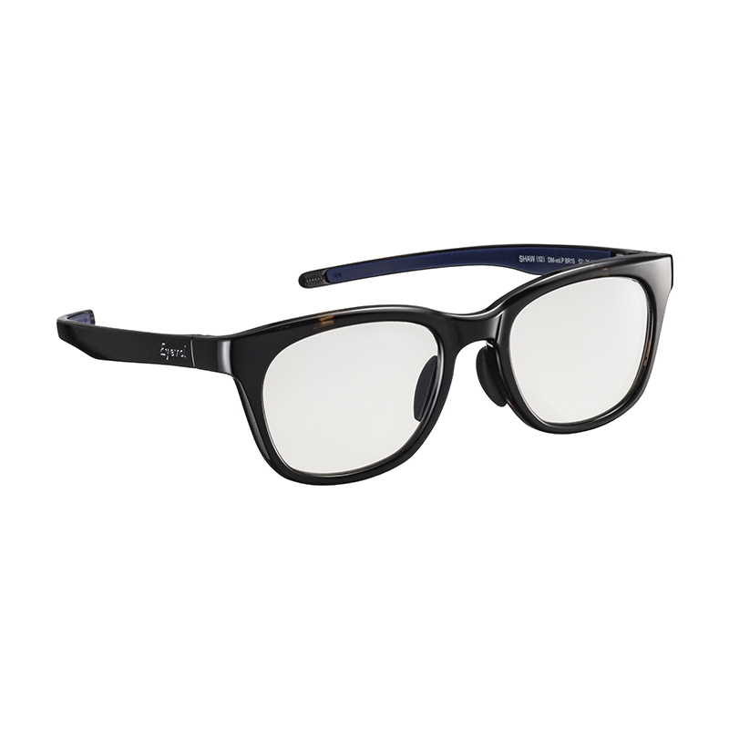 【Eyevol vol system】 SHAW（52） ショー52 DM-VP BR15 調光レンズ サングラス 52サイズ