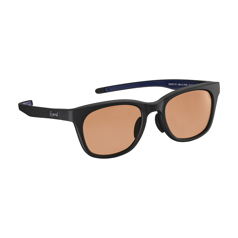【Eyevol vol system】 SHAW（52） ショー52 MBK-V1 BR49 サングラス 52サイズ
