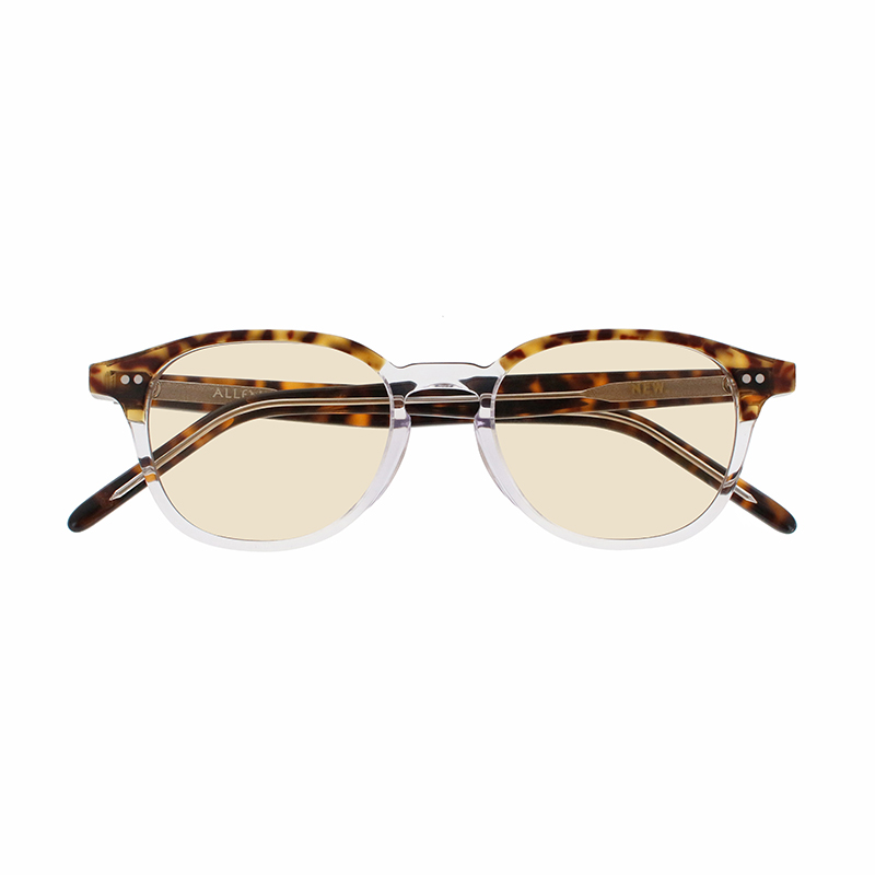 【NEW.】 ALLEN2 アレン2 C-4（Brown/Clear） サングラス