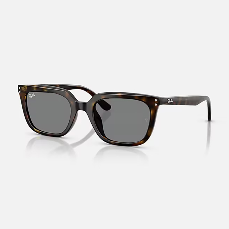 【Ray-Ban】 RB4439D 710/87 ポリッシュハバナ/ダークグレー サングラス 54サイズ