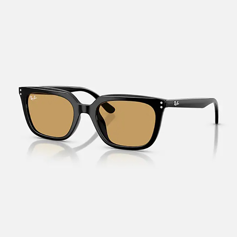 【Ray-Ban】 RB4439D 901/73 ポリッシュブラック/オークル サングラス 54サイズ