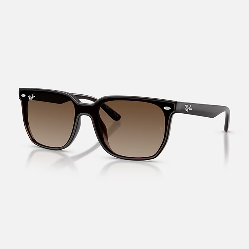 【Ray-Ban】 RB4466D 714/13 ポリッシュトランスペアレントダークブラウン/ブラウングラディエント サングラス 47サイズ