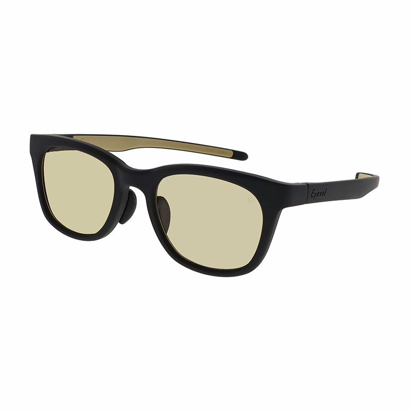 【Eyevol for POKER FACE 別注カラー】 SHAW（52） MBK-SND-BRGRPLPH（マットブラック/サンドベージュ） 偏光調光レンズ サングラス