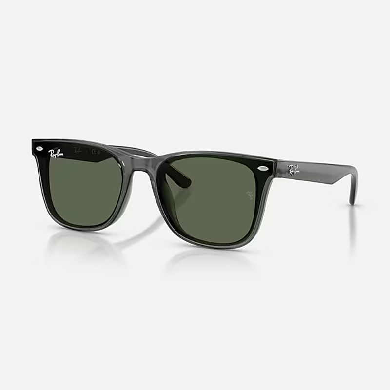 【Ray-Ban】 RB4420 691971 ポリッシュトランスペアレントグレー/ダークグリーン サングラス 65サイズ