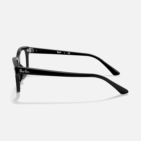 スクエア | 【Ray-Ban】 BURBANK OPTICS バーバンク RB5383F 2000