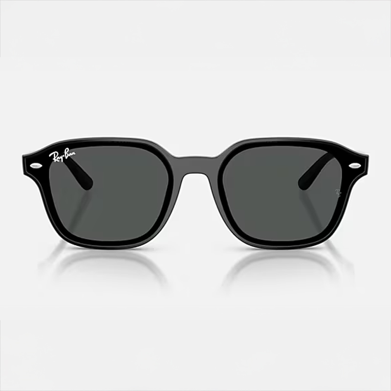 Ray-Ban RB4458D グレー サングラス RB4458D Sunglasses in Black and Light Grey Mirror Silver
